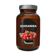 Hanoju Schisandra Extrakt Tabletten 400mg, A-Nr.: 4385416 - 01