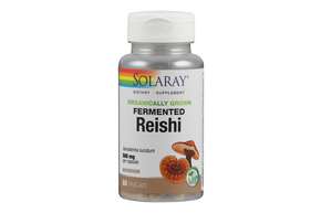 Sie sehen eine Packung Supplementa Reishi fermentiert Kapseln, Produktbild: 01 Supplementa Reishi fermentiert Kapseln, A-Nr.: 5574467 - 01