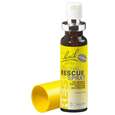 Sie sehen eine Packung RESCUE® Spray, Alkoholfrei, Produktbild: 03 RESCUE® Spray, Alkoholfrei, A-Nr.: 5323251 - 03