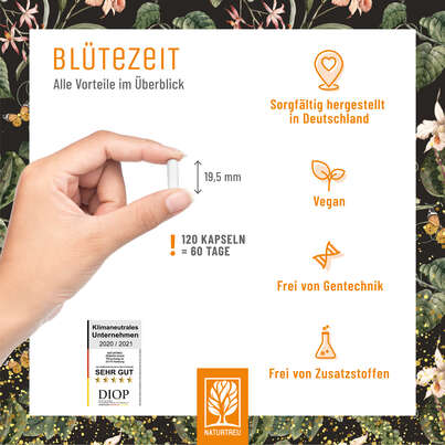 Sie sehen eine Packung Quercetin Bromelain Komplex Kapseln NT, Produktbild: 03 Quercetin Bromelain Komplex Kapseln NT, A-Nr.: 5596227 - 03