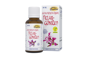 Sie sehen eine Packung Espara Pelargonium Alchemistische Essenz, Produktbild: 01 Espara Pelargonium Alchemistische Essenz, A-Nr.: 4040083 - 01