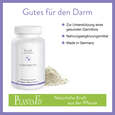 Sie sehen eine Packung PlantaBiotic Kapseln, Produktbild: 03 PlantaBiotic Kapseln, A-Nr.: 4488808 - 03