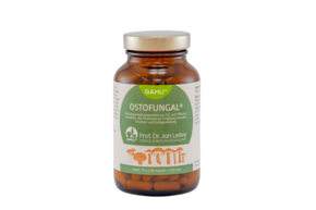 Sie sehen eine Packung Gamu OstoFungal Kapseln, Produktbild: 01 Gamu OstoFungal Kapseln, A-Nr.: 5600319 - 01
