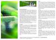 Apimanu Olivosan -Cholesterin und Immunsystem Vital Komplex, A-Nr.: 3817374 - 04