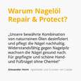Sie sehen eine Packung Casida Nagelöl Repair & Protect, Produktbild: 03 Casida Nagelöl Repair & Protect, A-Nr.: 4250202 - 03