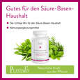 Kräuterbasen-Mix Kapseln, A-Nr.: 4488642 - 03