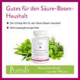 Sie sehen eine Packung Kräuterbasen-Mix Kapseln, Produktbild: 03 Kräuterbasen-Mix Kapseln, A-Nr.: 4488642 - 03