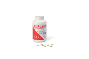 Sie sehen eine Packung KaRazym Tabletten 400 Stk., Produktbild: 01 KaRazym Tabletten 400 Stk., A-Nr.: 3269197 - 01
