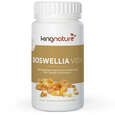 kingnature BOSWELLI VIDA, A-Nr.: 5667594 - 01