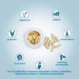 JAB Colostrum, A-Nr.: 5181503 - 04