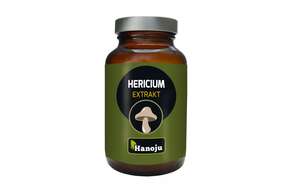 Hanoju Hericum Pilz Extrakt Tabletten 400mg, A-Nr.: 4256216 - 01