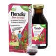 Floradix® Eisen für Kinder, A-Nr.: 4392474 - 02