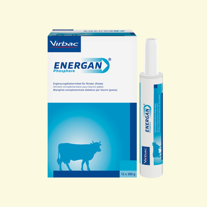 Energan Phosphor für Rinder, A-Nr.: 3003387 - 03