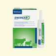 Energan Ketose für Milchkühe und Mutterschafe, A-Nr.: 3003370 - 03