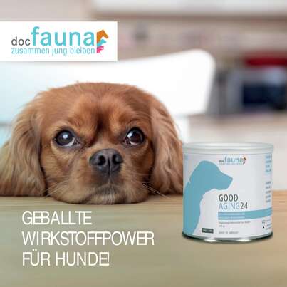 Good Aging 24 DOG 300g, A-Nr.: 5755068 - 01