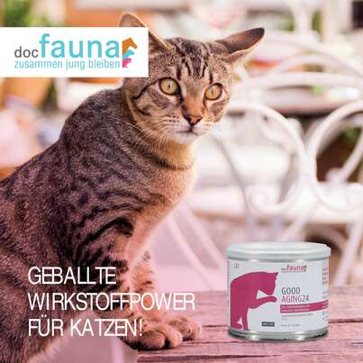 Good Aging 24 CAT, A-Nr.: 5807138 - 01