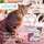 Good Aging 24 CAT, A-Nr.: 5807138 - 01