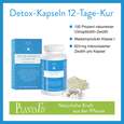 Detox Kapseln 12 Tage Kur, A-Nr.: 4488932 - 05