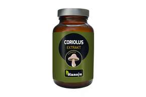 Sie sehen eine Packung Coriolus Extrakt Tabletten Hanoju, Produktbild: 01 Coriolus Extrakt Tabletten Hanoju, A-Nr.: 4256191 - 01