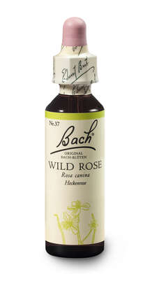 Bach®-Blüte Nr. 37 Wild Rose (Heckenrose), A-Nr.: 5323423 - 02