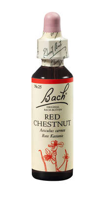 Bach®-Blüte Nr. 25 Red Chestnut (Rote Kastanie), A-Nr.: 5323038 - 01