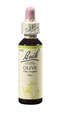 Bach®-Blüte Nr. 23 Olive (Olive), A-Nr.: 5323015 - 01