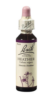 Bach®-Blüte Nr. 14 Heather (Schottisches Heidekraut), A-Nr.: 5322926 - 01