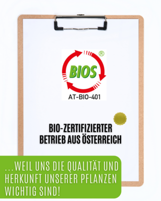 Auwald® - Spitzwegerich - BIO Tropfen (Auszug, Extrakt, Essenz), A-Nr.: 5709789 - 04