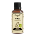 Auwald® - Rosmarin - BIO Tropfen (Auszug, Extrakt, Essenz), A-Nr.: 5709737 - 01