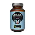 Hanoju Artischocken Extrakt + Mariendistel Extrakt, A-Nr.: 4255955 - 01
