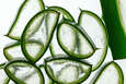 Bio Aloe Vera Saft, Premium, aus Mexiko, 1 Liter, 100% pur, A-Nr.: 5229115 - 03