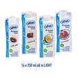 Sie sehen eine Packung all in® 4er MIX LIGHT (14 x 250 ml), Produktbild: 05 all in® 4er MIX LIGHT (14 x 250 ml), A-Nr.: 4907381 - 05
