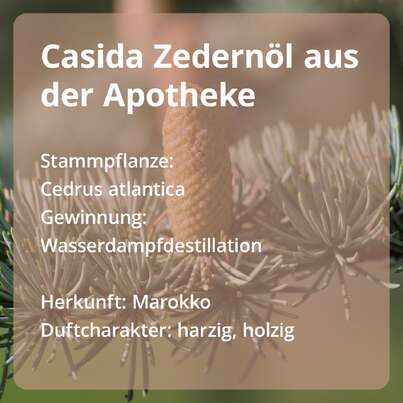 Zedernöl - naturreines ätherisches Öl, A-Nr.: 5679309 - 02