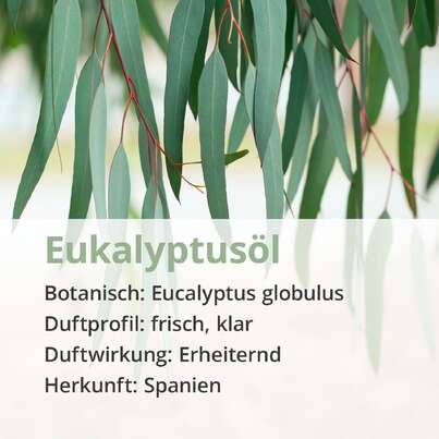 Eukalyptusöl, A-Nr.: 5178576 - 02