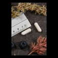 Supplementa Acidophilus Probiotic-4 Kapseln, A-Nr.: 5396126 - 04