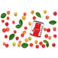 Sie sehen eine Packung Acerola Vitamin C Lutschtabletten mit 17% Vitamin C, zuckerfrei, 120 Tabl., Produktbild: 02 Acerola Vitamin C Lutschtabletten mit 17% Vitamin C, zuckerfrei, 120 Tabl., A-Nr.: 5229109 - 02