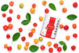BIO Acerola Vitamin C Fruchtpulver, mit 17% natürlichem Vitamin C, 500g, A-Nr.: 5229032 - 02