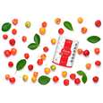 BIO Acerola Vitamin C Fruchtpulver, mit 17% natürlichem Vitamin C, 500g, A-Nr.: 5229032 - 02