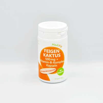 Feigenkaktus 500mg + Vitamin-B-Komplex Kapseln, A-Nr.: 4547617 - 01
