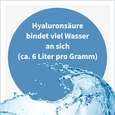 Sie sehen eine Packung NatuGena Hyaluron Kapseln, Produktbild: 03 NatuGena Hyaluron Kapseln, A-Nr.: 5699252 - 03