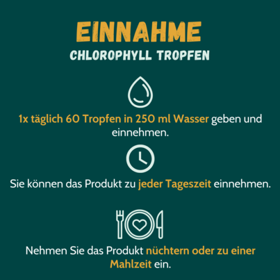 Chlorophyll 200 mg Tropfen 50 ml, A-Nr.: 5666123 - 02