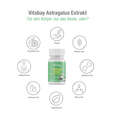 Vitabay Astragalus Extrakt 1600 mg Kapseln, A-Nr.: 5878380 - 03