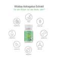 Sie sehen eine Packung Vitabay Astragalus Extrakt 1600 mg Kapseln, Produktbild: 03 Vitabay Astragalus Extrakt 1600 mg Kapseln, A-Nr.: 5878380 - 03