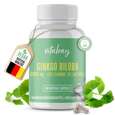 Sie sehen eine Packung Vitabay Ginkgo Biloba 6000 mg Kapseln, Produktbild: 02 Vitabay Ginkgo Biloba 6000 mg Kapseln, A-Nr.: 5881181 - 02
