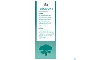 Sie sehen eine Packung Tebodont Spray 25ml, Produktbild: 01 Tebodont Spray 25ml, A-Nr.: 3090073 - 01