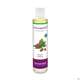 Taoasis Erkältungsduft Raumspray 50ml, A-Nr.: 3163323 - 03