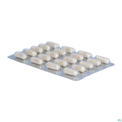 Sie sehen eine Packung Jod Calcium Kapseln Dr.wolz Nr.60622 60st, Produktbild: 08 Jod Calcium Kapseln Dr.wolz Nr.60622 60st, A-Nr.: 1785687 - 08