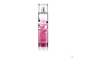 Caudalie Eau Fraiche The Des Vignes 100ml, A-Nr.: 4249305 - 01