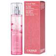 Sie sehen eine Packung Caudalie Eau Fraiche Rose De Vigne 50ml, Produktbild: 04 Caudalie Eau Fraiche Rose De Vigne 50ml, A-Nr.: 4340371 - 04