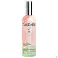 Sie sehen eine Packung Caudalie Eau De Beaute 100ml, Produktbild: 01 Caudalie Eau De Beaute 100ml, A-Nr.: 3378555 - 01
